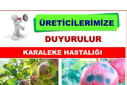 Üreticilere Kritik Uyarı: Karaleke Riski ve İlaçlama Zamanı!