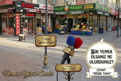 Niğde Halkına Sorduk: “Bir Yemek Olsanız Hangisi Olurdunuz?”